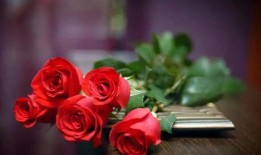 娱乐吃瓜酱玫瑰,玫瑰背后的故事揭秘